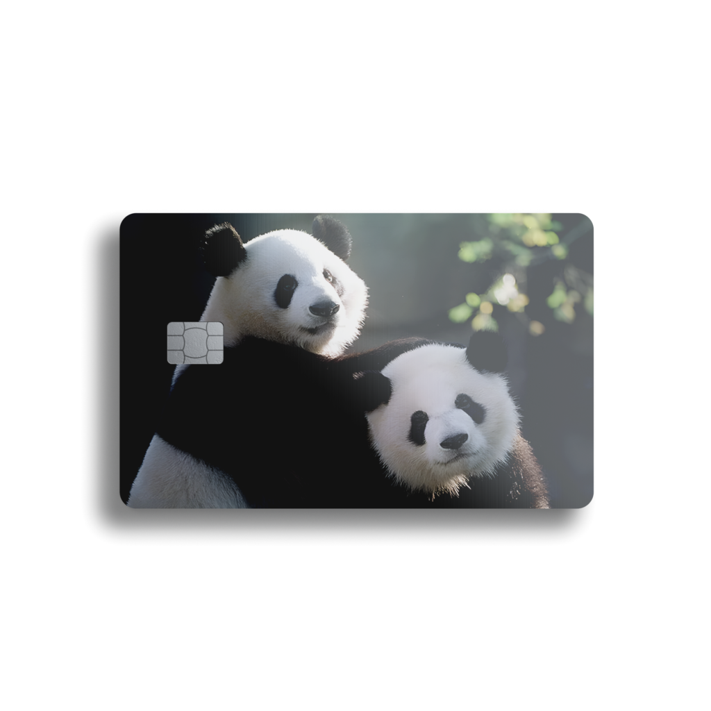 Playful Panda Card Skin